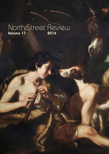 NSR Vol17 2014 cover